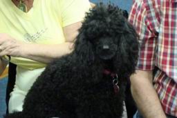 Resize of DSC04334.JPG